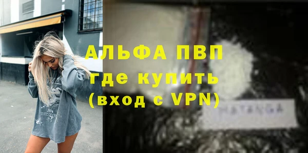 индика Белокуриха