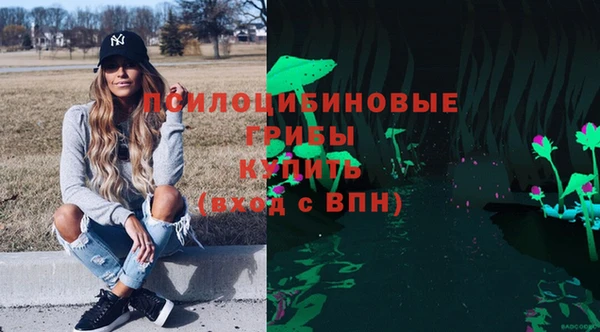2c-b Беломорск