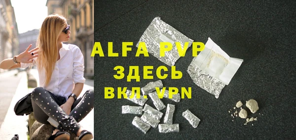 индика Белокуриха