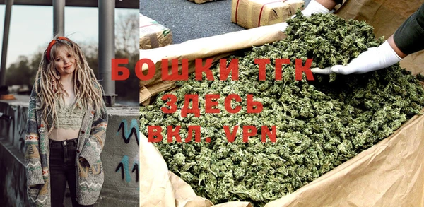 индика Белокуриха