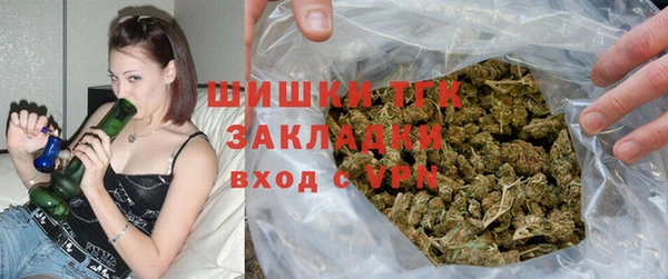 индика Белокуриха