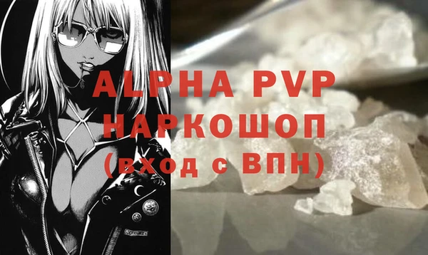 индика Белокуриха