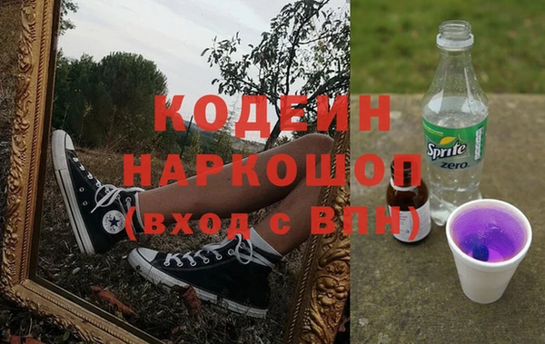индика Белокуриха