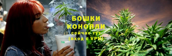 индика Белокуриха