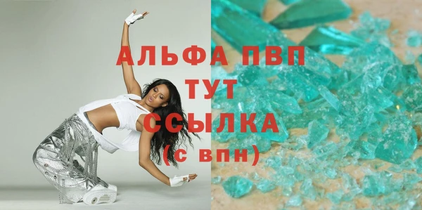 индика Белокуриха