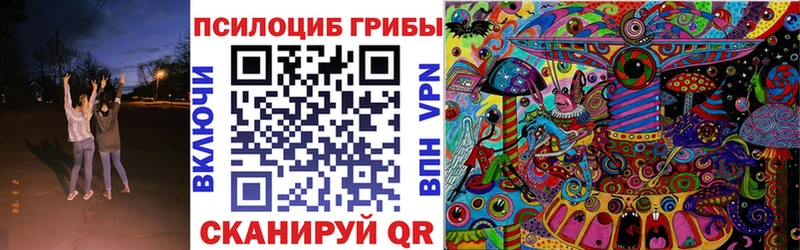Купить где  Отрадное  Галлюциногенные грибы MAGIC MUSHROOMS 